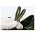 LOUIS VUITTON Borsa a Spalla Epi Noe Verde M44004 LV Auth 142858 - vista 10