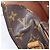 LOUIS VUITTON Borsa a Spalla Monogram Cartouchiere GM M51252 LV Auth BA7169 Monogramma - vista 10