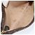 Bucket LOUIS VUITTON Monogramma Secchiello PM Pochette Accessorio LV Auth 149207 - vista 10