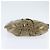Borsa a Spalla GG Crystal Gucci Oro 203257 Auth 150404 D'oro - vista 5