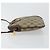 Sac Sherry Line GG Supreme Web de GUCCI en PVC beige et or 904 02 047 Auth 147496 Doré - vue 4