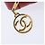 CHANEL Borsa a Spalla V Stitch in Pelle di Agnello Rossa Oro CC Auth bs30476 Rosso D'oro - vista 18