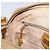 Gucci Borsa a Spalla Micro GG Supreme PVC Oro Beige 007 084 0092 Auth ep11900 D'oro - vista 21