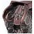 Borsa a Spalla Gancini in Pelle Marrone Argento Auth BA7992 di Salvatore Ferragamo - vista 18