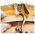 Zaino Valentino Studs in nylon e pelle beige arancione Auth BA6887 - vista 7