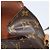 LOUIS VUITTON Monogram Saint Cloud GM Schultertasche M51242 LV Auth 150423 Monogramm - Ansicht 20