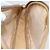 Gucci Sac à épaule Micro GG Supreme en PVC beige et or 007 104 0013 Auth BA8452 Doré - vue 19