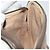 Gucci Borsa a Spalla GG Supreme PVC Beige Oro 97 02 068 Auth 154585 D'oro - vista 18