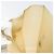 CHANEL Borsa Tote in Gomma Beige CC Auth 152235 - vista 19