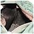 PRADA Borsa a mano in nylon khaki argento autentica bs29885 Cachi - vista 20