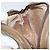 Borsa a Spalla GUCCI GG Plus Supreme PVC Beige Oro Auth ka485 D'oro - vista 18