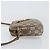 Borsa a Spalla GUCCI GG Plus Supreme PVC Beige Oro Auth ka485 D'oro - vista 4