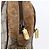 Gucci Borsa Sherry Line GG Supreme Web in PVC beige e oro 98 02 004 Auth BA7967 D'oro - vista 9