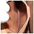 Céline Bolsa tote em lona Macadam CELINE em couro PVC marrom dourado Auth bs31514 - vista 21