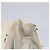 LOUIS VUITTON Pochette Lover Monogram Charm Borsa Ivory M95194 LV Auth BA333SAV Crudo - vista 21