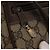Gucci Borsa GG Supreme Web Sherry Line PVC Beige Oro 32 02 004 Auth 151575 D'oro - vista 18