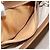 Gucci Borsa a Spalla Micro GG Supreme PVC Beige Oro 001 20 1368 Auth 156987 D'oro - vista 23