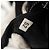 PRADA Backpack Nylon Black Silver Auth bs31715 Silvery - view 30