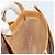Gucci Borsa a Spalla Micro GG Supreme PVC Avorio Oro 001 406 1780 Auth ep12179 D'oro Crudo - vista 19