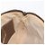 Borsa Sherry Line GG Supreme Web di GUCCI in PVC Beige e Oro 904 02 047 Auth ka922 D'oro - vista 19