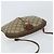 Borsa Sherry Line GG Supreme Web di GUCCI in PVC beige e oro 904 02 047 Auth 156831 D'oro - vista 6