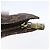 Bucket LOUIS VUITTON Monogramma Secchiello PM Pochette Accessorio LV Auth 154884 - vista 9