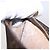 Bucket LOUIS VUITTON Monogramma Secchiello PM Pochette Accessorio LV Auth kk596 - vista 12