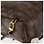 LOUIS VUITTON Borsa a Spalla Mini Palm Springs Monogram M44873 LV Auth 147991 Monogramma - vista 17