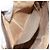 Borsa a Spalla Gucci GG Supreme Web Sherry Line PVC Beige 904 02 047 Auth hk2990 D'oro - vista 11