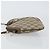 Borsa a Spalla Gucci GG Supreme Web Sherry Line PVC Beige 904 02 047 Auth hk2990 D'oro - vista 4