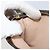 LOUIS VUITTON Monogram Bucket GM Accessory Pouch LV Auth 145704 - view 17