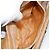 Gucci Borsa a spalla Micro GG Supreme in PVC Beige Oro Auth BA6123 D'oro - vista 21