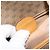 Gucci Borsa a Spalla Micro GG Supreme PVC Beige Oro 007 115 0107 Auth 152019 D'oro - vista 12