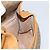 Gucci Borsa a Spalla Micro GG Supreme PVC Beige Oro 007 115 0107 Auth 152019 D'oro - vista 20