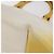 Autre Marque Borsa Tote Bottega Veneta in tela e pelle gialla Auth bs30596 Giallo - vista 15