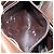 LOEWE Borsa a Spalla Anagram Pelle Oro Marrone Auth ep11747 D'oro - vista 12