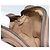 GUCCI GG Supreme Web Sherry Line Tasche aus PVC Beige Gold 156 02 066 Auth ep12301 Golden - Ansicht 19