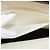 Borsa a mano LOEWE in tela bianca e oro Auth 151572 Bianco D'oro - vista 12