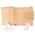 CHANEL Geldbörse Cambon Linie Lammleder Beige Silber CC Auth bs31591 - Ansicht 13