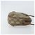 Borsa Sherry Line GG Supreme Web di GUCCI in PVC beige e oro 89 02 066 Auth 156823 D'oro - vista 4