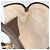 Borsa Sherry Line GG Supreme Web di GUCCI in PVC beige e oro 904 02 047 Auth 149187 D'oro - vista 20