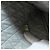 CHANEL Clutch Tasche Canvas Grau CC Auth 148530M Braun - Ansicht 11
