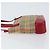 Burberry Nova Check Handtasche aus Canvas Beige Gold Auth 154459 Golden - Ansicht 5