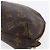 LOUIS VUITTON Pochette Cosmetica Demi Ronde Monogram M47520 LV Auth BA7198 Monogramma - vista 10