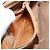 Gucci Borsa a Spalla Micro GG Supreme PVC Beige Oro 007 904 0095 Auth ep11014 D'oro - vista 20