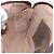 Borsa Gucci GG Supreme Web Sherry Line PVC Beige Oro 904 02 047 Auth BA7465 D'oro - vista 21