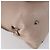 Borsa a Spalla Salvatore Ferragamo in Pelle Beige Oro Auth 152265 D'oro - vista 13