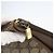 Borsa Sherry Line GG Supreme Web di GUCCI in PVC beige e oro 904 02 026 Auth 156988 D'oro - vista 10