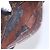 LOUIS VUITTON Clutch Orsay Monogram M51790 LV Auth th6452 Monogramma - vista 11