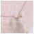CHANEL Nuova Borsa Tote da Viaggio Nylon Rosa Oro CC Auth mr1511 D'oro - vista 13